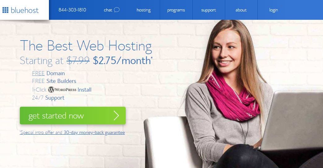 Build Your Online Store, Online Store, WordPress Theme, WordPress tools, Bluehost Tool